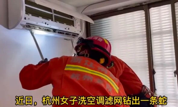 杭州女网友清洗空调被吓惨，一个蛇头突然冒了出来！