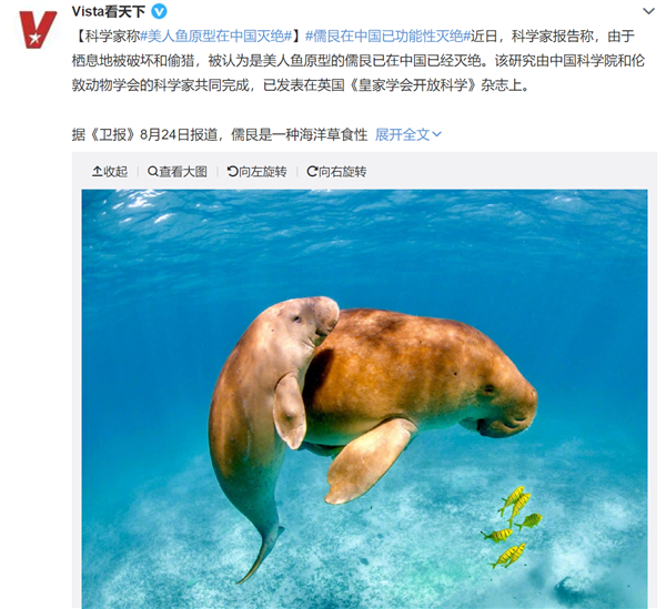 网红美人鱼原型已在中国灭绝引热议，众网友叹息：才知道外形长这样！