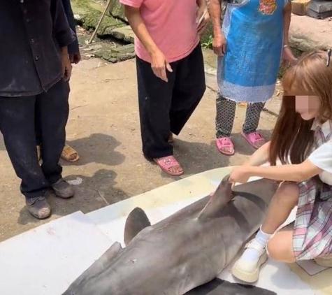 网红烹食二级保护动物大白鲨引众怒