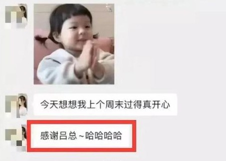 最近很火的zjy视频自带中文字幕？网友：翻译很准确